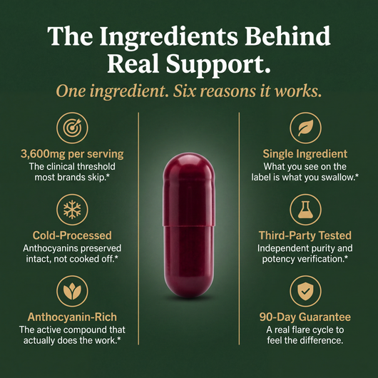 Everwell Tart Cherry Extract